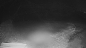 TJ Němčičky - Výstup z vleku - 29.1.2026 v 05:55