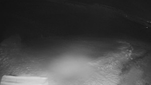 TJ Němčičky - Výstup z vleku - 29.1.2026 v 06:00 TJ Němčičky - Výstup z vleku - 29.1.2026 v 06:00