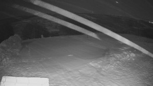 TJ Němčičky - Výstup z vleku - 30.1.2026 v 03:00