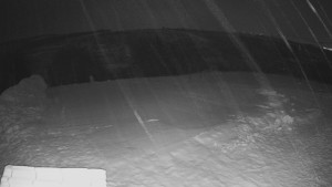 TJ Němčičky - Výstup z vleku - 30.1.2026 v 03:30