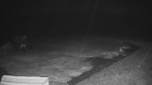 TJ Němčičky - Výstup z vleku - 23.2.2026 v 01:55 TJ Němčičky - Výstup z vleku - 23.2.2026 v 01:55