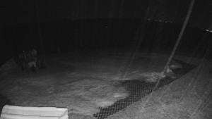 TJ Němčičky - Výstup z vleku - 23.2.2026 v 03:45