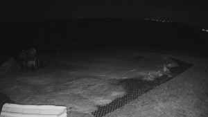 TJ Němčičky - Výstup z vleku - 23.2.2026 v 04:40