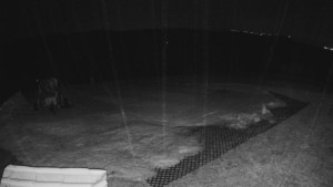 TJ Němčičky - Výstup z vleku - 23.2.2026 v 05:00