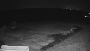 TJ Němčičky - Výstup z vleku - 23.2.2026 v 05:45