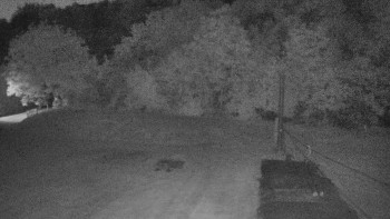 Snímek    13.5.2025 v 21:30