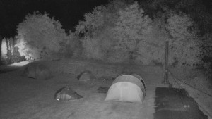 TJ Němčičky - Koberec - 15.6.2025 v 01:30