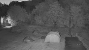 TJ Němčičky - Koberec - 15.6.2025 v 03:30
