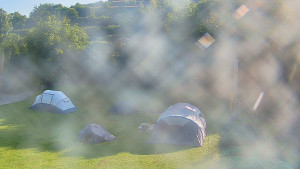 TJ Němčičky - Koberec - 15.6.2025 v 07:30