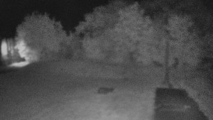 TJ Němčičky - Koberec - 23.6.2025 v 00:30
