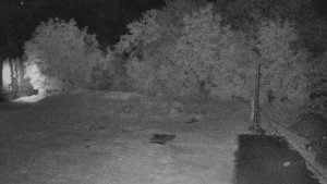 TJ Němčičky - Koberec - 14.7.2025 v 00:30
