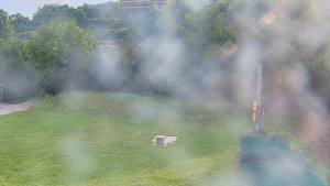 TJ Němčičky - Koberec - 14.7.2025 v 07:30