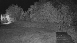 TJ Němčičky - Koberec - 20.8.2025 v 01:30