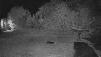 Snímek    13.9.2025 v 21:00