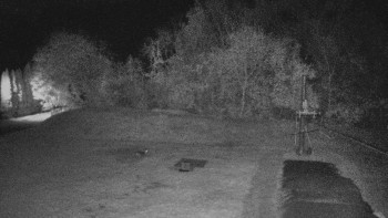 Snímek    19.10.2025 v 19:30