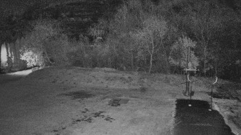 Snímek 6.11.2025 v 00:00