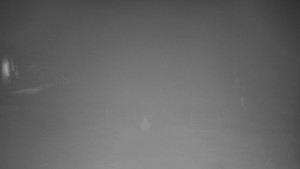 TJ Němčičky - Koberec - 7.12.2025 v 06:30 TJ Němčičky - Koberec - 7.12.2025 v 06:30