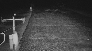 TJ Němčičky - Koberec - 17.12.2025 v 02:30