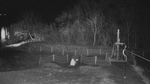 TJ Němčičky - Koberec - 17.12.2025 v 03:00 TJ Němčičky - Koberec - 17.12.2025 v 03:00