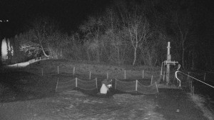 TJ Němčičky - Koberec - 17.12.2025 v 06:30