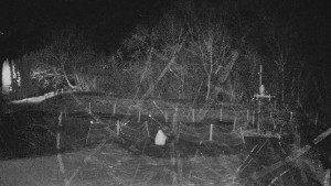 TJ Němčičky - Koberec - 21.12.2025 v 05:30