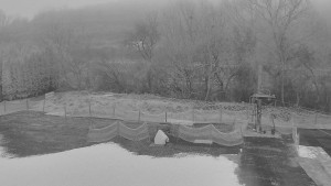 TJ Němčičky - Koberec - 21.12.2025 v 07:30