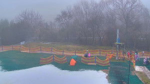 TJ Němčičky - Koberec - 21.12.2025 v 08:30