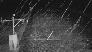 TJ Němčičky - Koberec - 24.12.2025 v 00:30