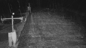 TJ Němčičky - Koberec - 24.12.2025 v 06:30