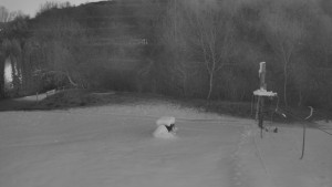 TJ Němčičky - Koberec - 28.12.2025 v 07:00