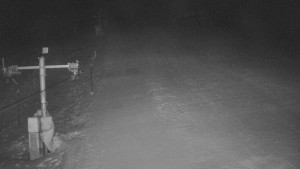 TJ Němčičky - Koberec - 20.1.2026 v 01:30