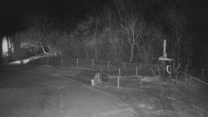 TJ Němčičky - Koberec - 20.1.2026 v 02:00