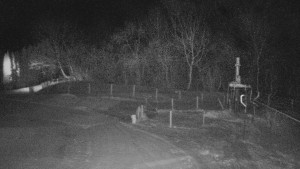 TJ Němčičky - Koberec - 20.1.2026 v 03:00