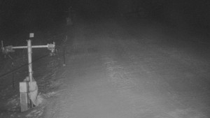 TJ Němčičky - Koberec - 20.1.2026 v 03:30