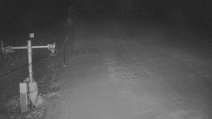 TJ Němčičky - Koberec - 20.1.2026 v 06:00