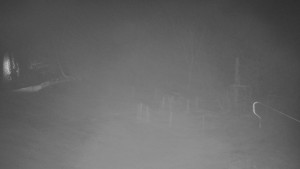 TJ Němčičky - Koberec - 27.1.2026 v 03:00