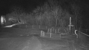 TJ Němčičky - Koberec - 27.1.2026 v 05:00