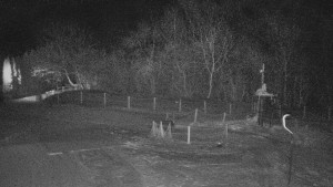 TJ Němčičky - Koberec - 5.2.2026 v 00:00