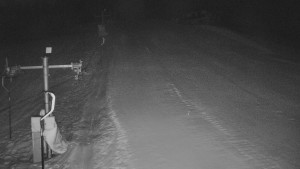 TJ Němčičky - Koberec - 5.2.2026 v 01:00