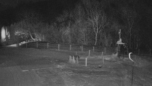 TJ Němčičky - Koberec - 5.2.2026 v 01:30