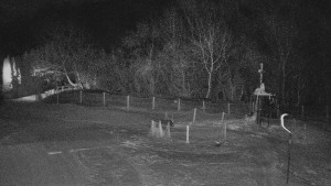 TJ Němčičky - Koberec - 5.2.2026 v 03:30