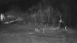 TJ Němčičky - Koberec - 5.2.2026 v 05:30