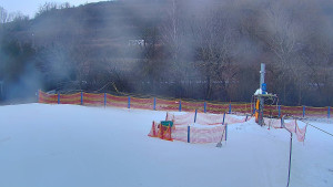 TJ Němčičky - Koberec - 5.2.2026 v 07:30