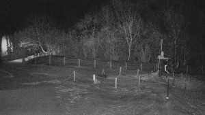 TJ Němčičky - Koberec - 6.2.2026 v 02:30