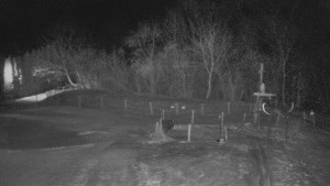 TJ Němčičky - Koberec - 20.2.2026 v 02:30 TJ Němčičky - Koberec - 20.2.2026 v 02:30