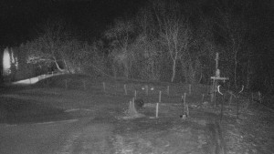 TJ Němčičky - Koberec - 20.2.2026 v 03:30 TJ Němčičky - Koberec - 20.2.2026 v 03:30