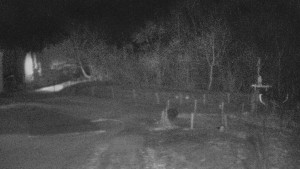 TJ Němčičky - Koberec - 20.2.2026 v 04:00