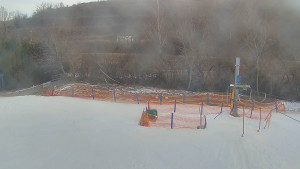 TJ Němčičky - Koberec - 20.2.2026 v 08:00