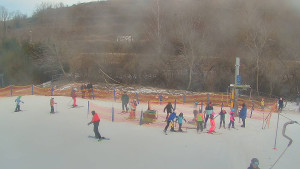 TJ Němčičky - Koberec - 20.2.2026 v 11:30 TJ Němčičky - Koberec - 20.2.2026 v 11:30