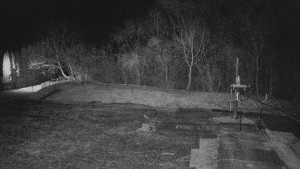 TJ Němčičky - Koberec - 25.3.2026 v 03:30 TJ Němčičky - Koberec - 25.3.2026 v 03:30